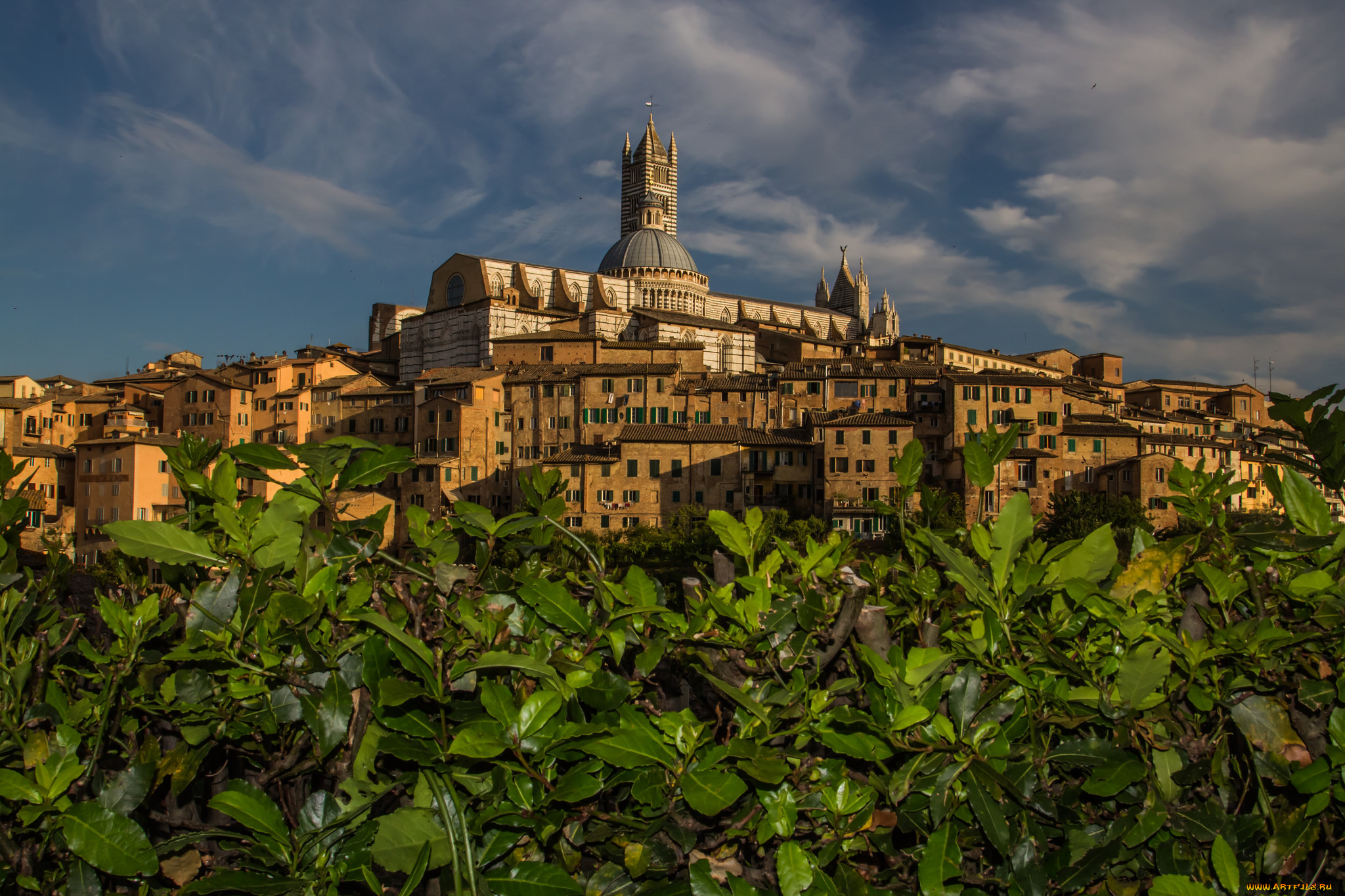 cathedral of siena, , -  ,  ,  , 